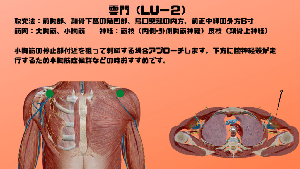肺経～雲門（LU-2)