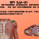 肺経～雲門（LU-2)