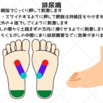排尿痛の際の足ツボ療法｜反射区